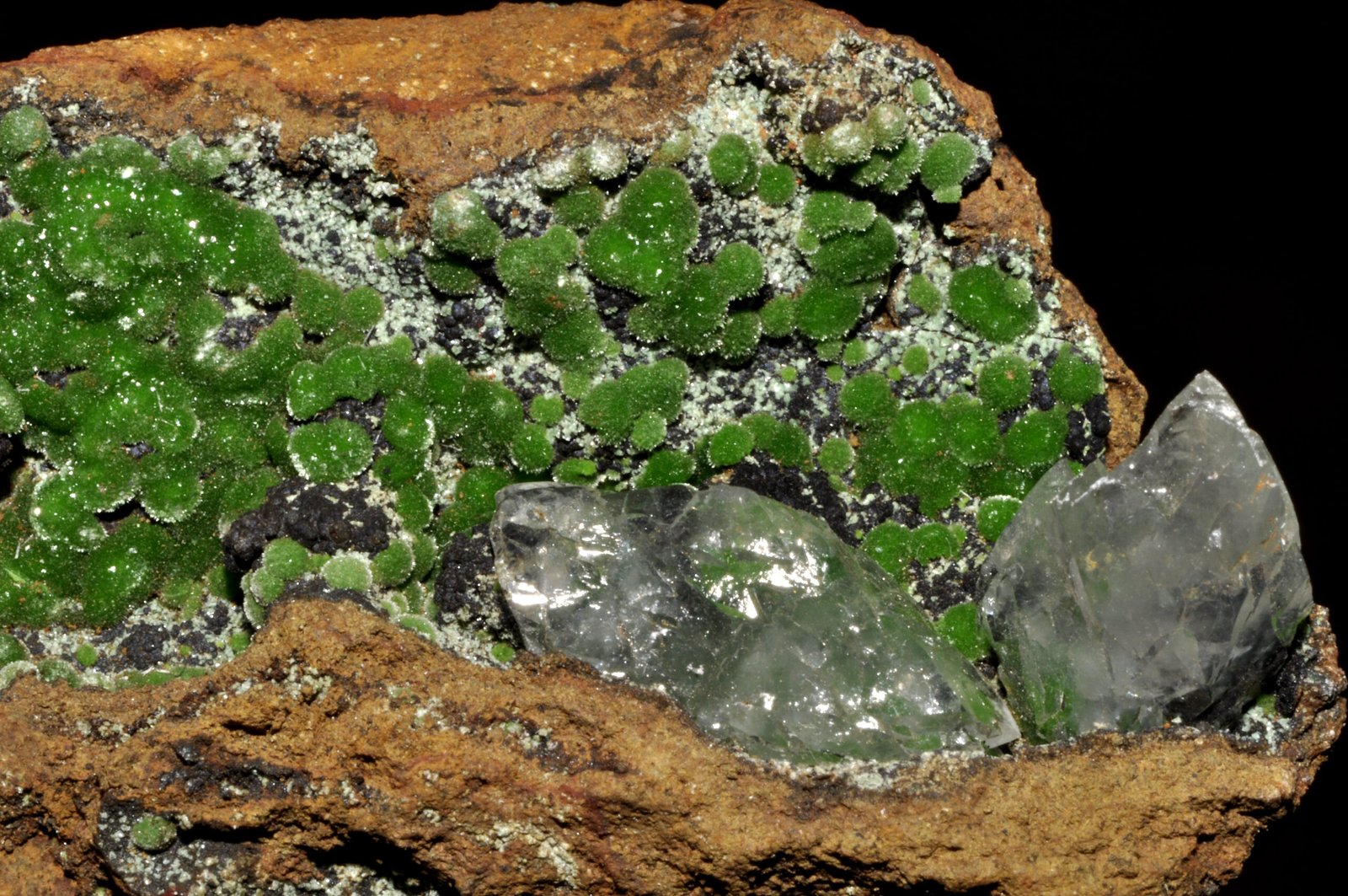 Conichalcite, cro&ucirc;tes vert vif sur calcite