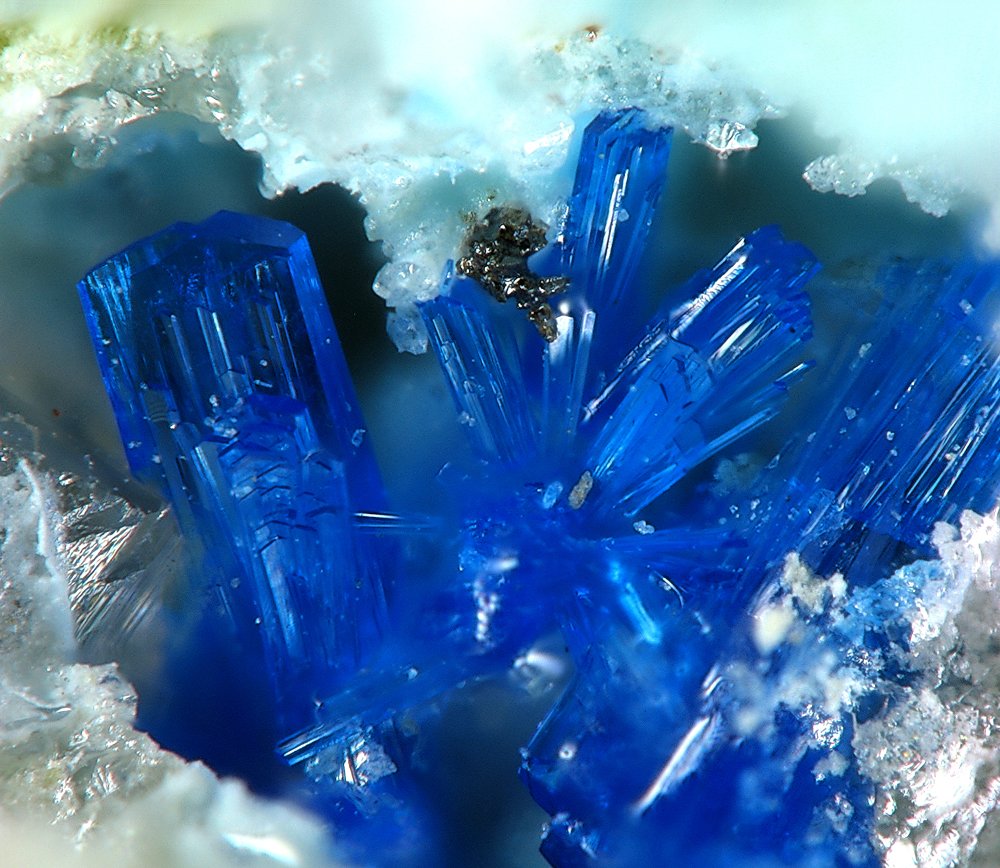 Linarite, cristaux bleu azur intense