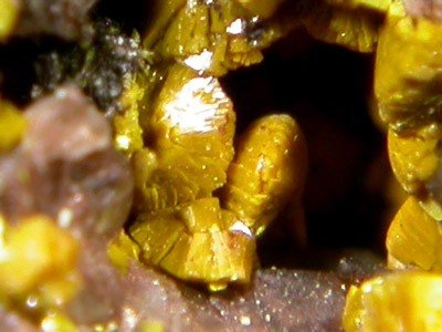 Carnotite, enduit jaune canari pulvérulent sur matrice claire