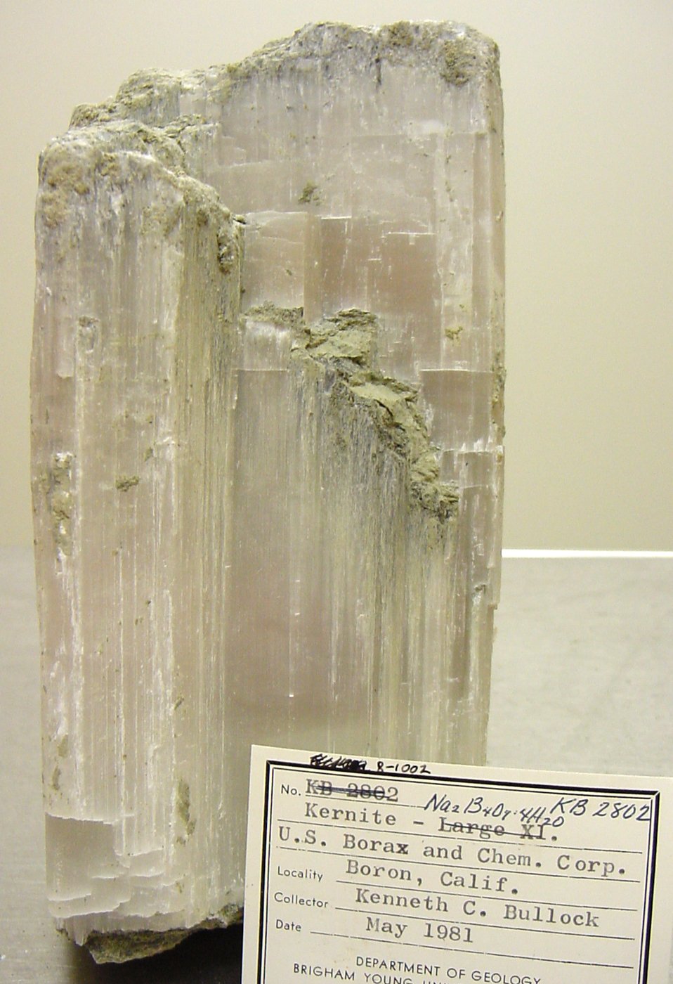 Kernite, cristaux clivables incolores à blancs de borate de sodium, gisement de Boron (Californie)