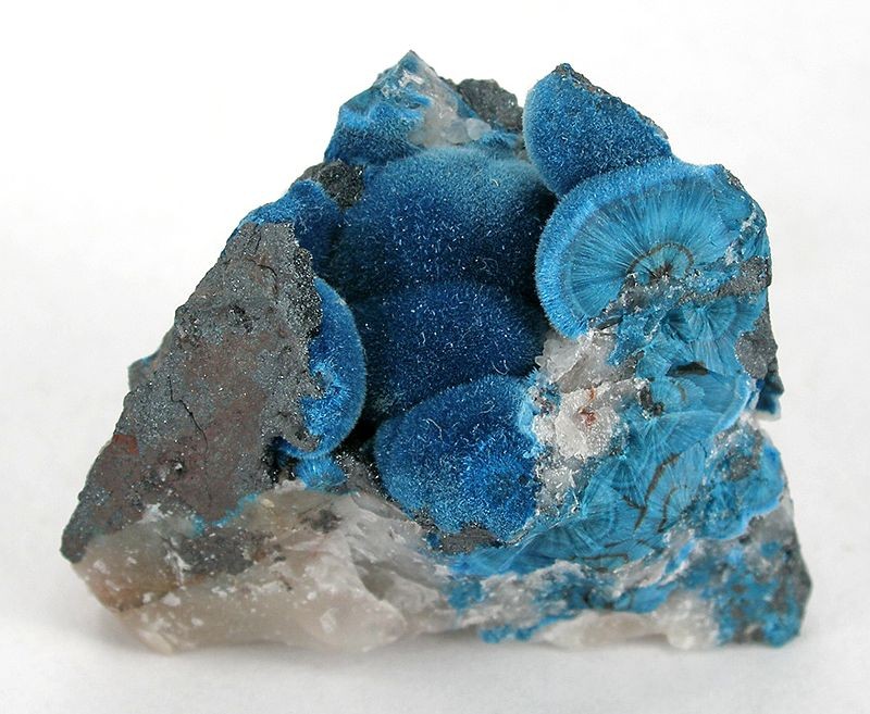 Shattuckite, sphères botryoïdales bleu profond sur gangue, silicate de cuivre, mine de Kaokoveld, Namibie
